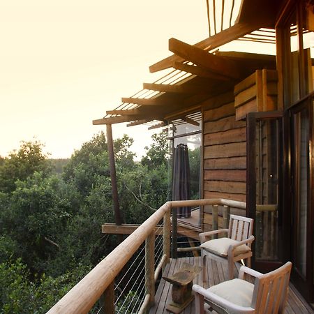 Tsala Treetop Lodge Plettenberg Bay Ngoại thất bức ảnh