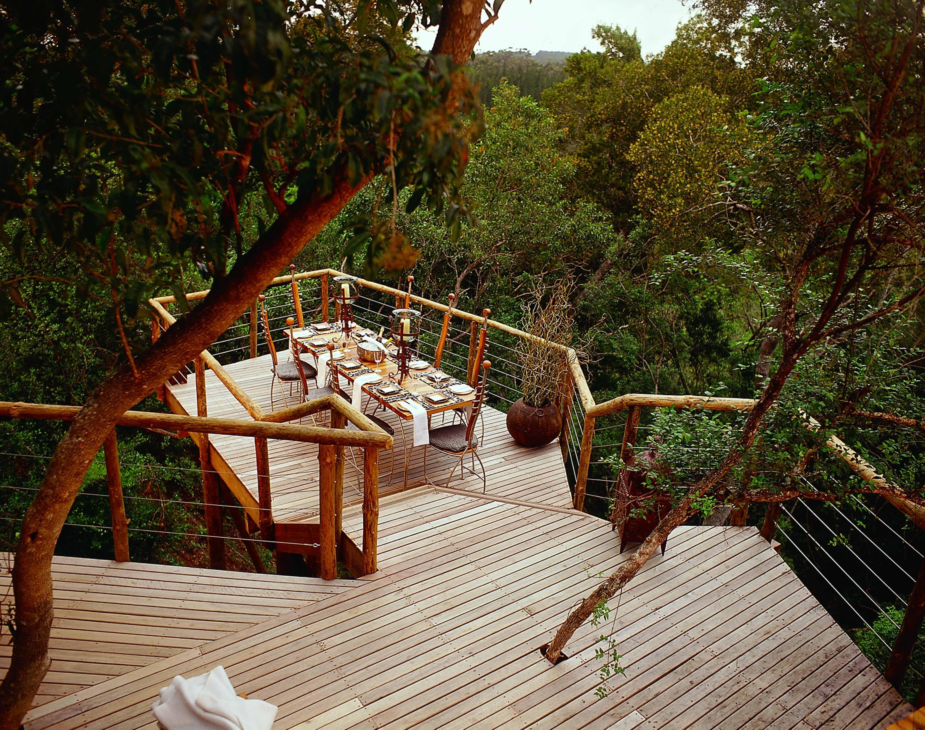 Tsala Treetop Lodge Plettenberg Bay Ngoại thất bức ảnh