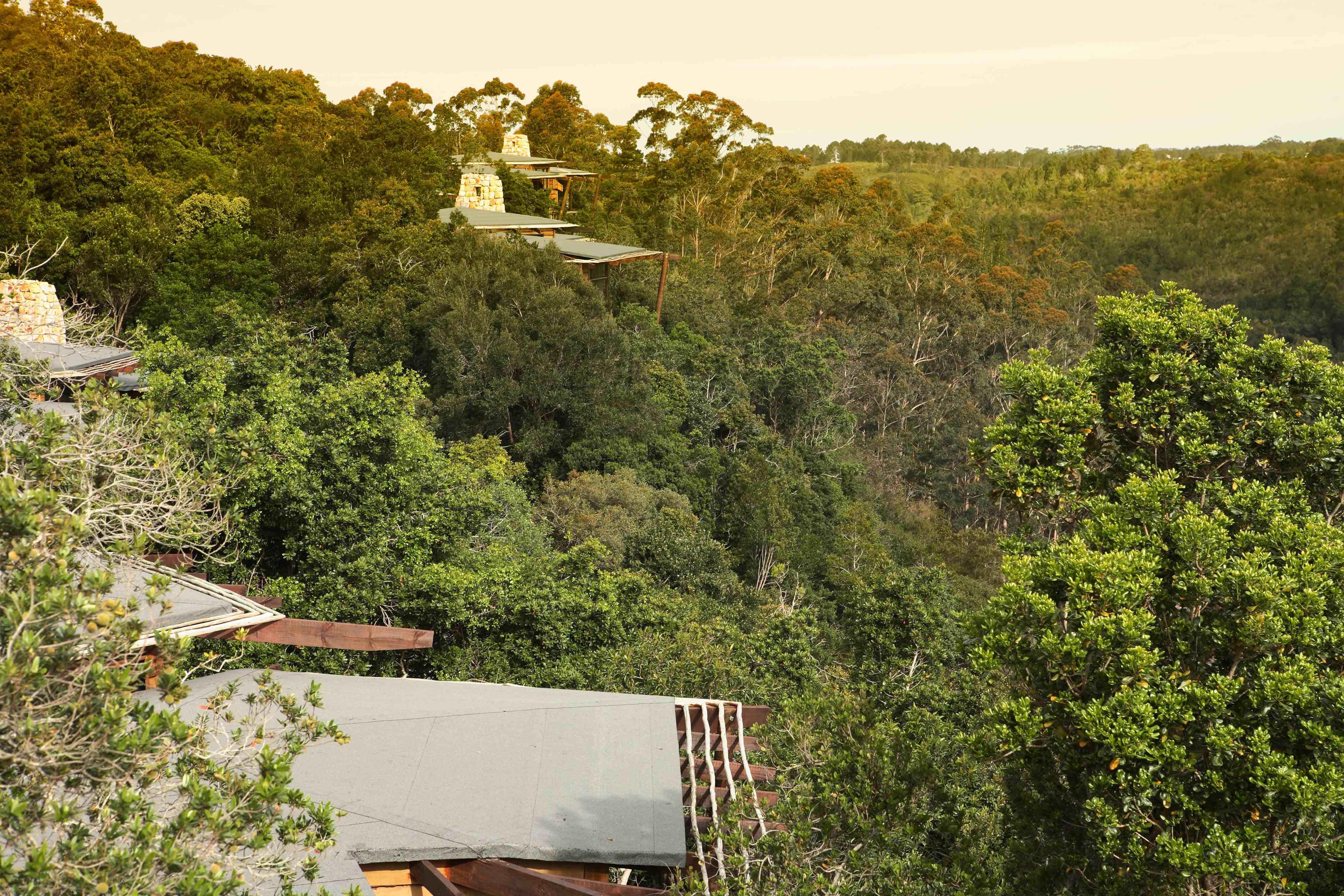 Tsala Treetop Lodge Plettenberg Bay Ngoại thất bức ảnh