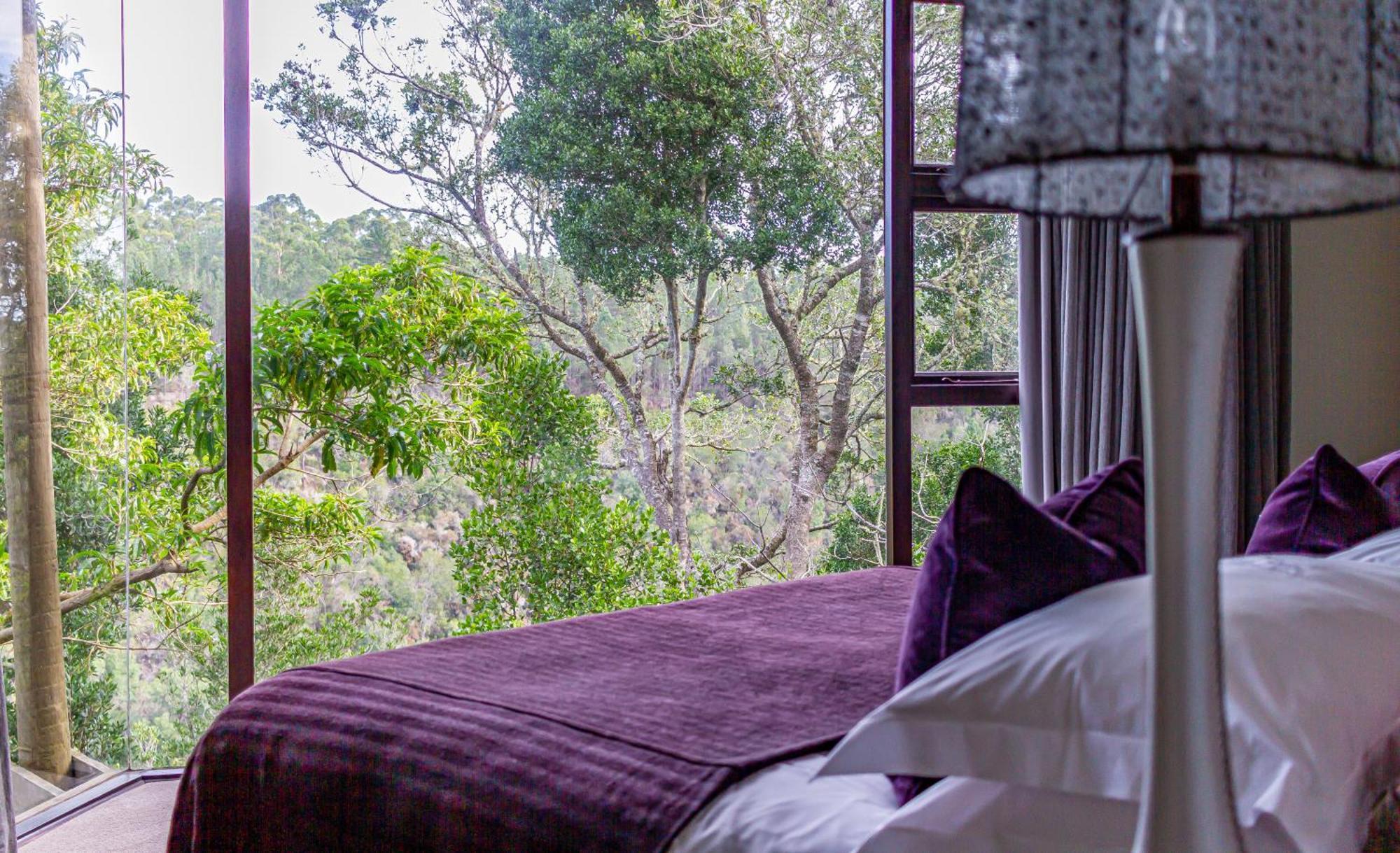 Tsala Treetop Lodge Plettenberg Bay Ngoại thất bức ảnh