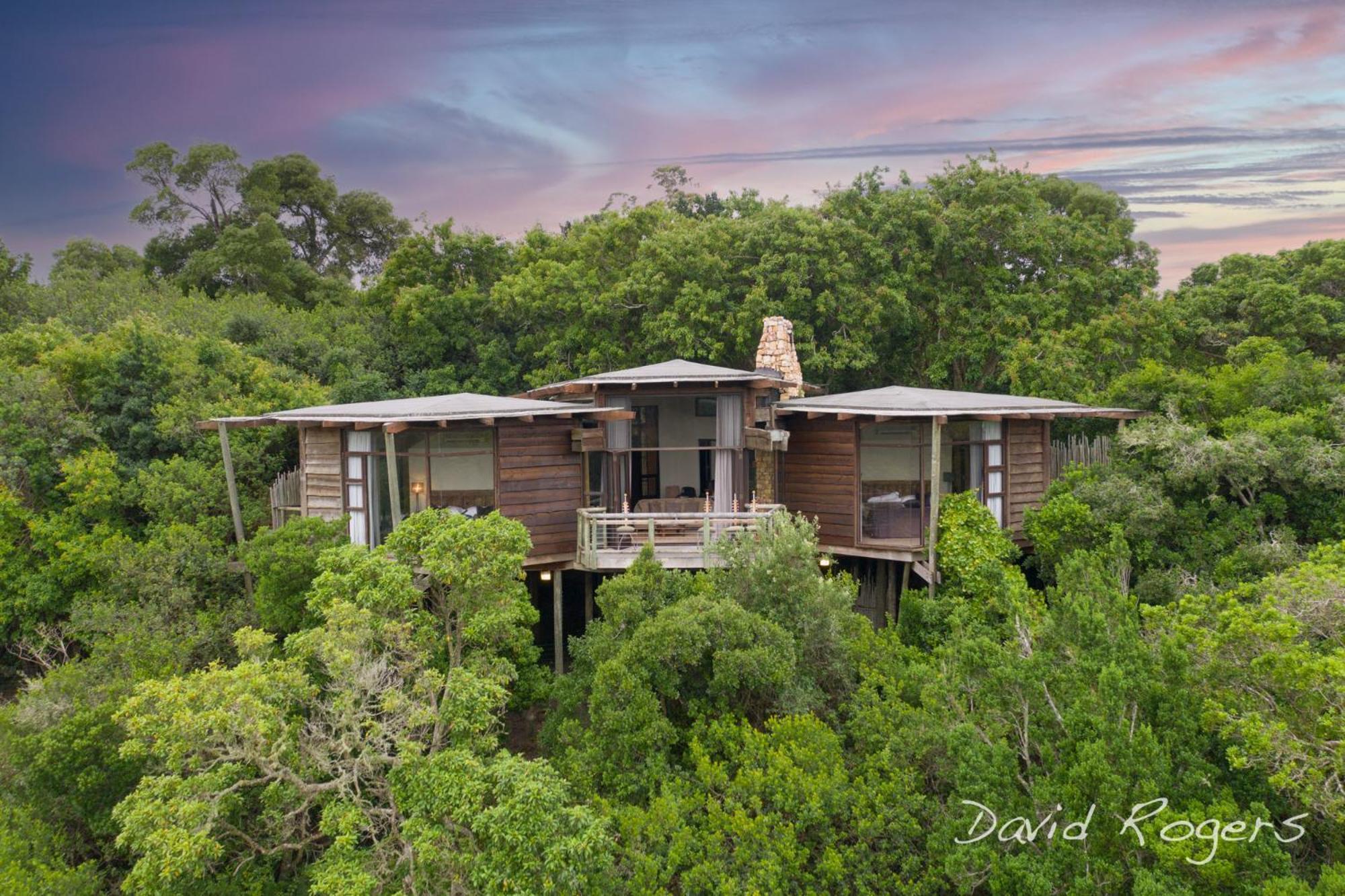 Tsala Treetop Lodge Plettenberg Bay Ngoại thất bức ảnh