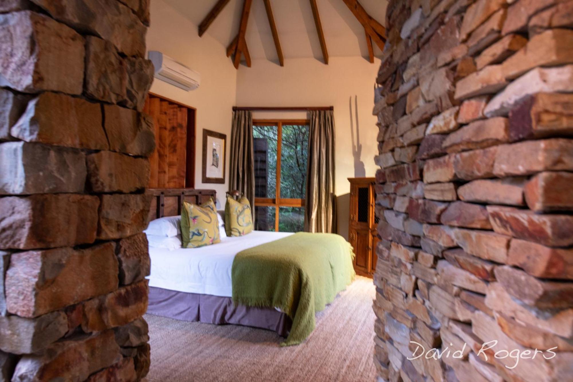 Tsala Treetop Lodge Plettenberg Bay Ngoại thất bức ảnh