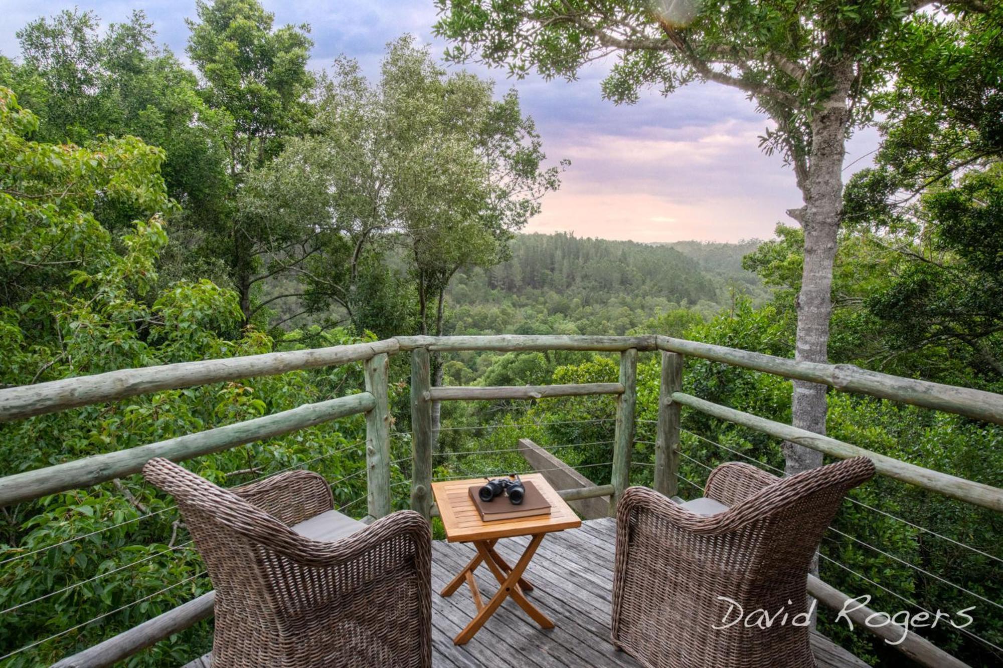 Tsala Treetop Lodge Plettenberg Bay Ngoại thất bức ảnh