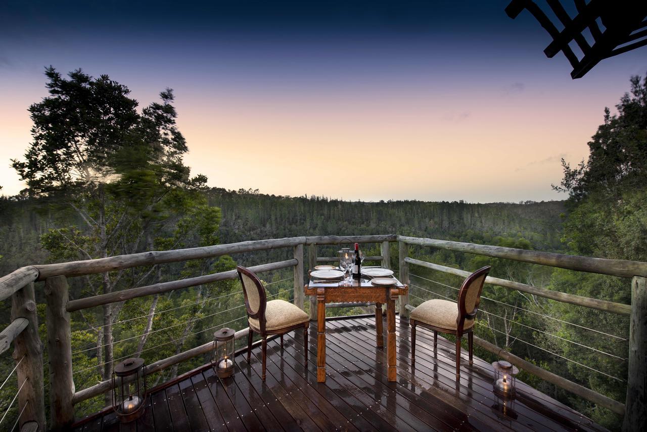 Tsala Treetop Lodge Plettenberg Bay Ngoại thất bức ảnh