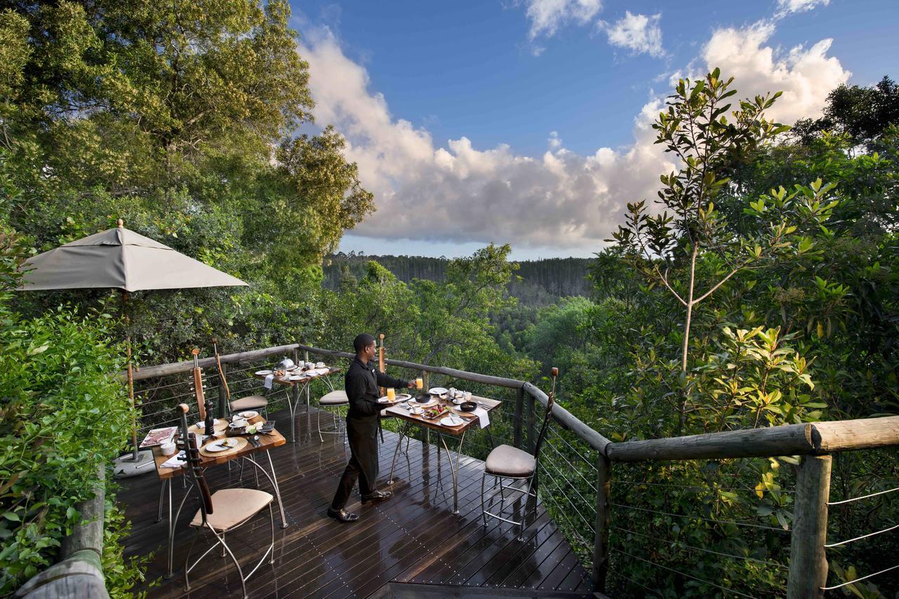 Tsala Treetop Lodge Plettenberg Bay Ngoại thất bức ảnh