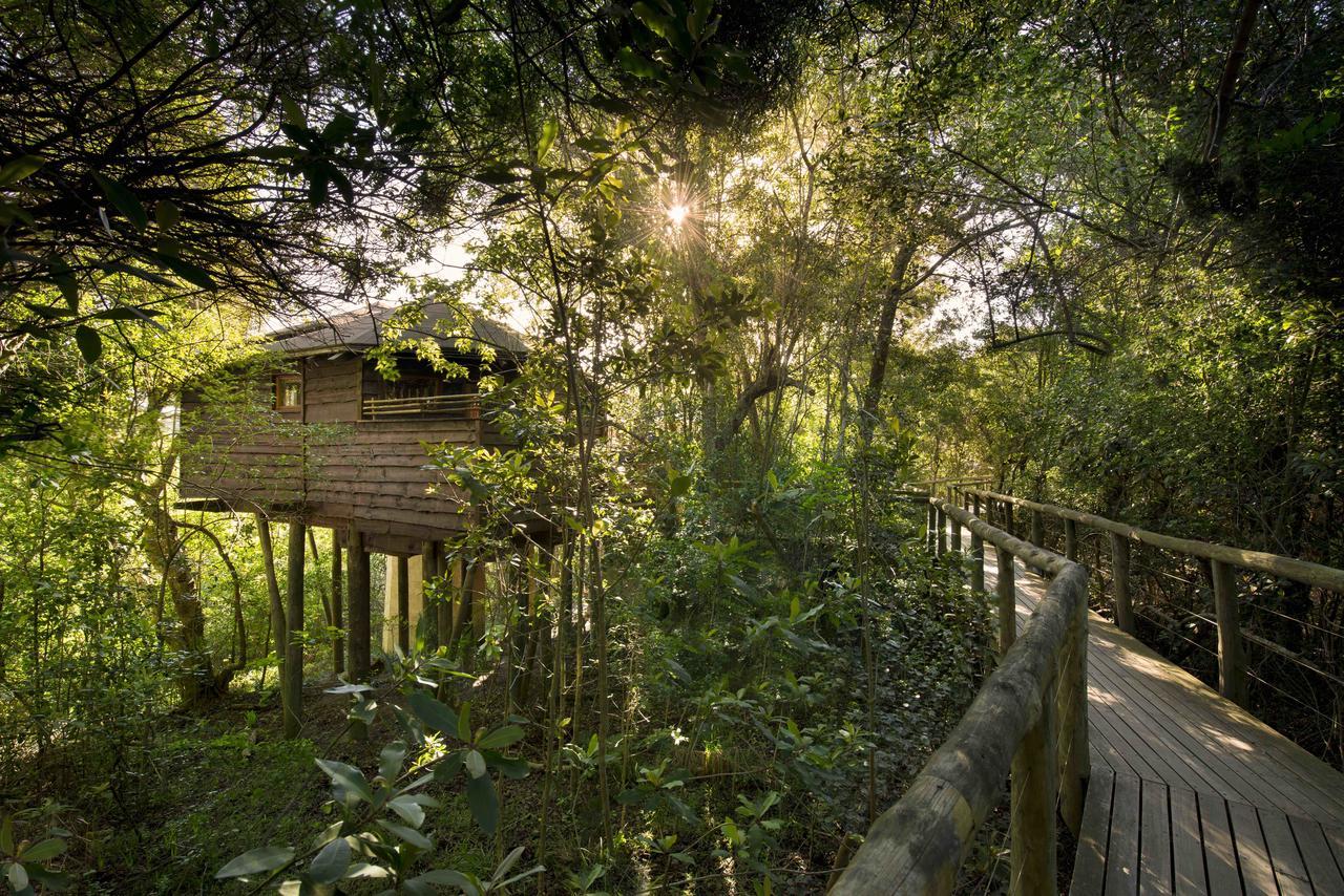 Tsala Treetop Lodge Plettenberg Bay Ngoại thất bức ảnh