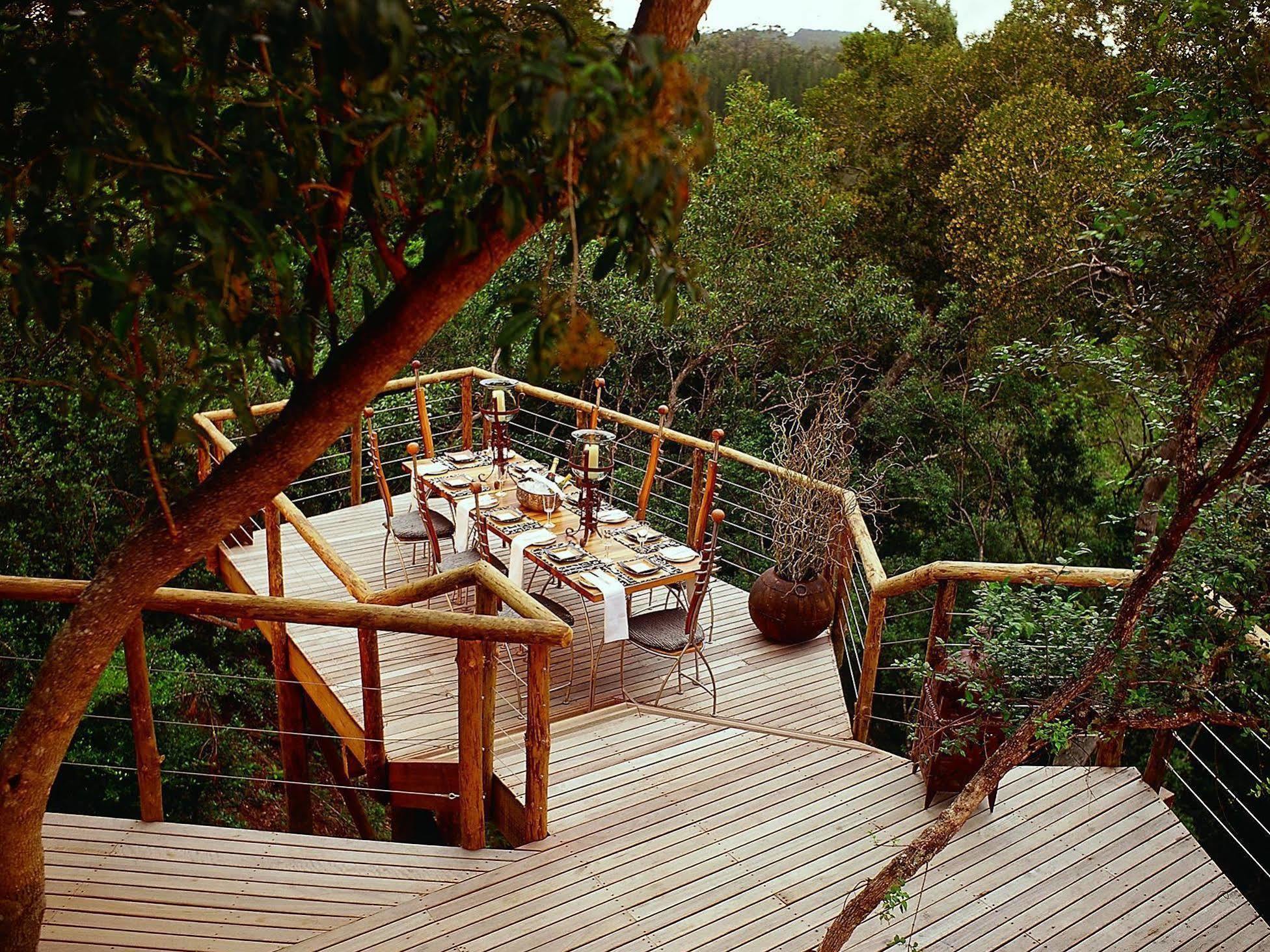 Tsala Treetop Lodge Plettenberg Bay Ngoại thất bức ảnh